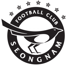 龙仁FC